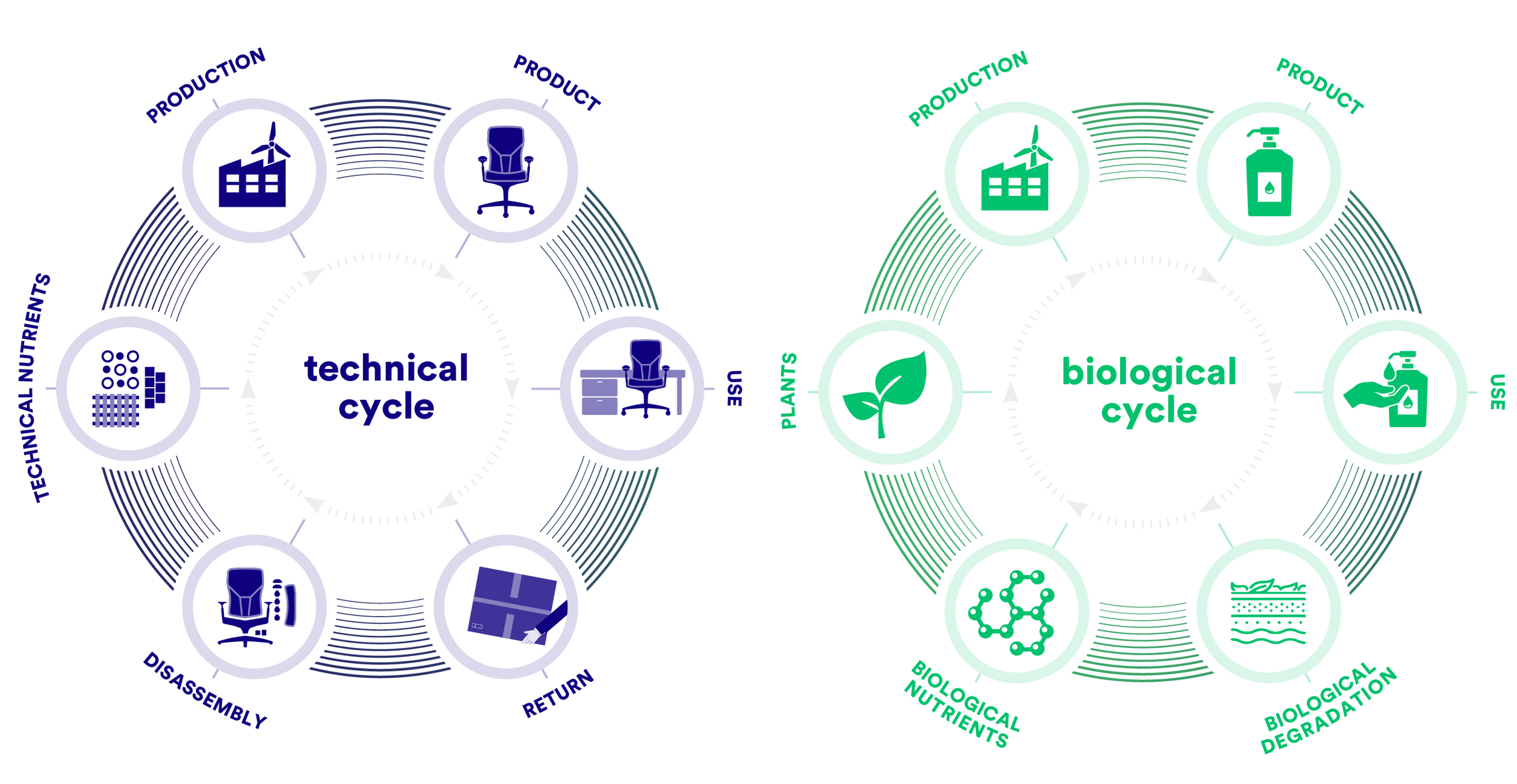 Circular Economy - Cradle to Cradle Products Innovation Institute