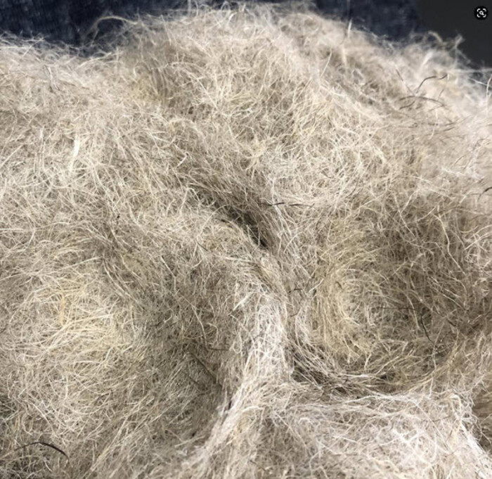 Marmara Hemp® upgraded to C2C Certified Material Health Certificate™ Platinum V4.0