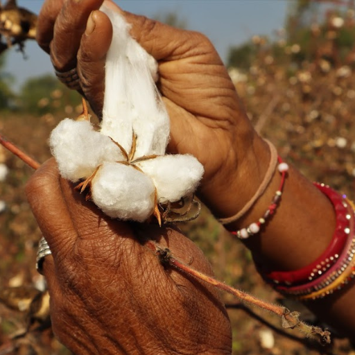 Pratibha Syntex: Sustainability woven into its DNA